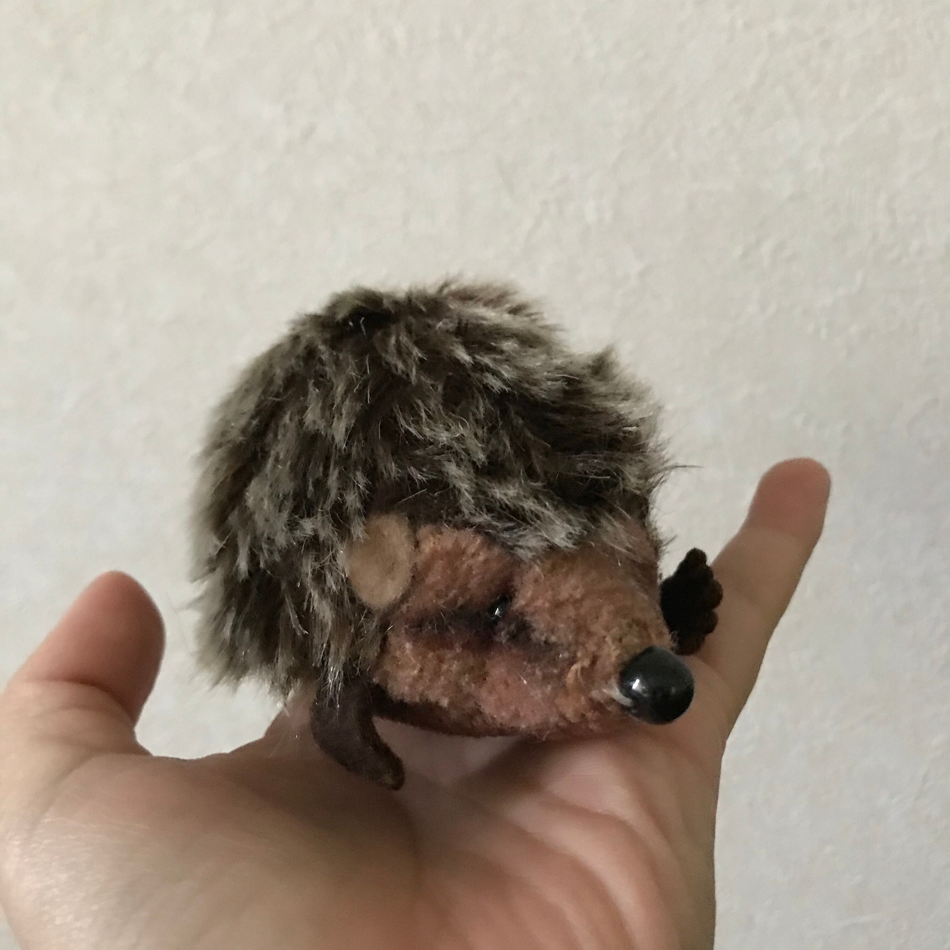 シュタイフの小さなハリネズミ