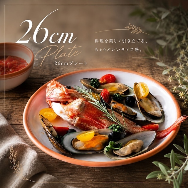 ミーテ ネーヴェGX 26cmプレート ワンプレート皿 北欧風 ナチュラル食器 カフェ食器 おしゃれ食器【日本製】
