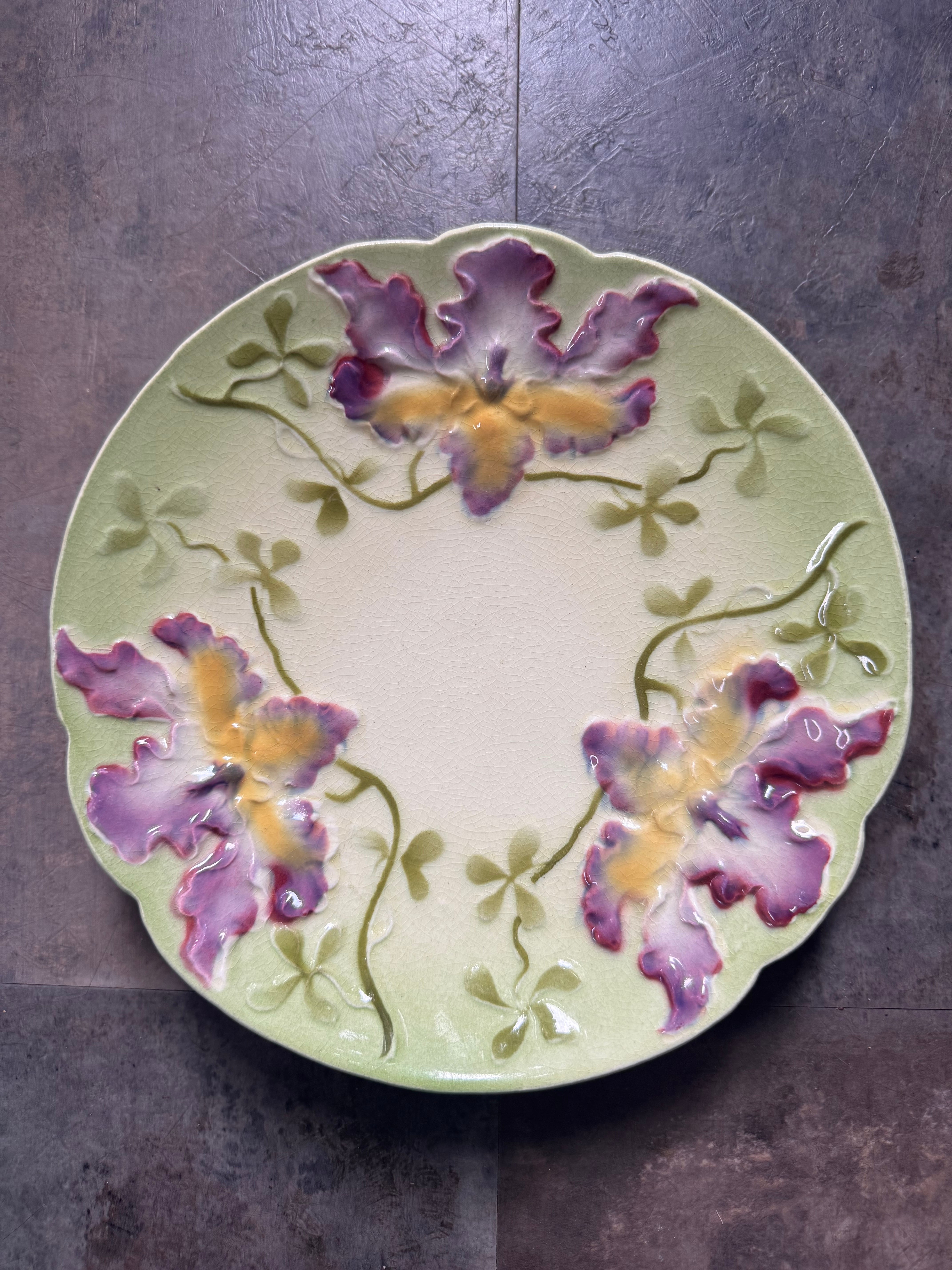 サルグミンヌ バルボティーヌ カトレア