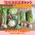 【☆1/28（金）☆ゆうパック発送】旬の東京野菜お試しセット 2,980円※お届けする地域により送料が異なります。