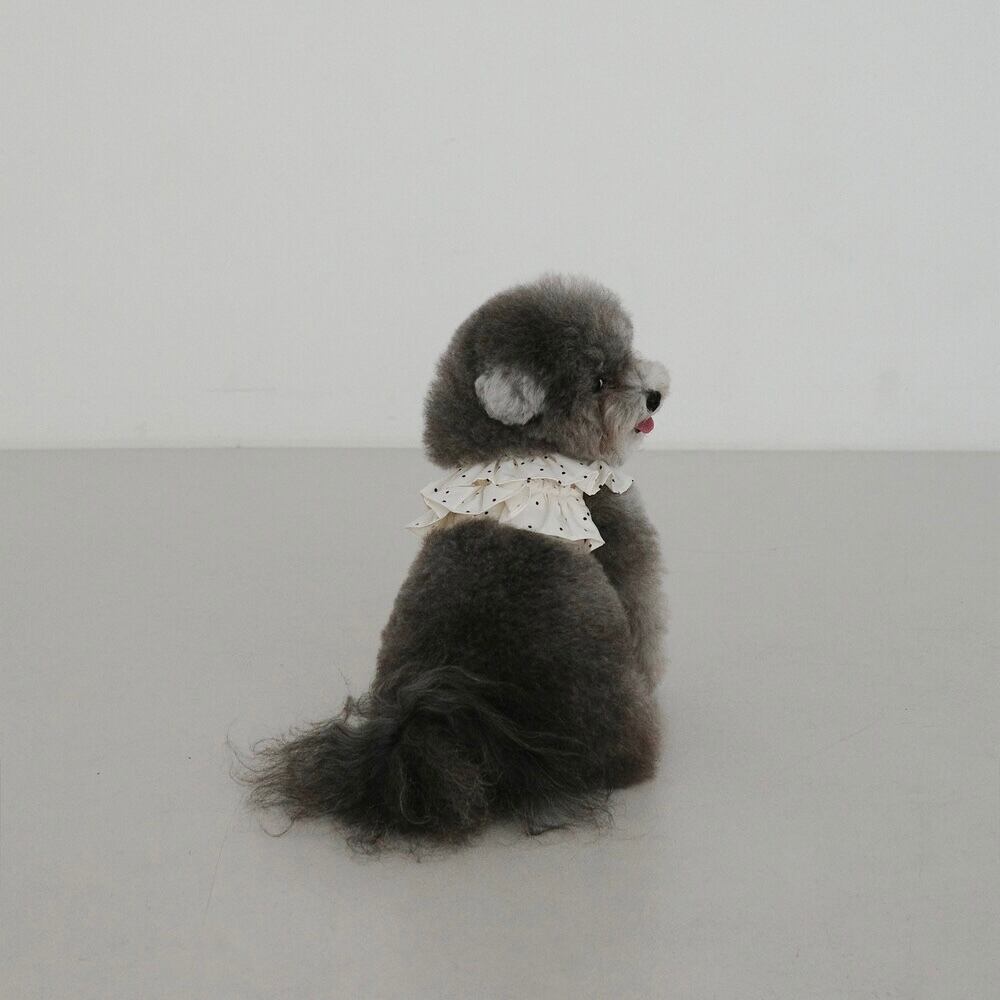 予約】〔OHDIBS〕 CAPENESS NO.20 (MINI DOT) | DALKOM