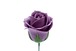 パステルバラT-DP3 ディープラベンダー (15輪入りor25輪入り)