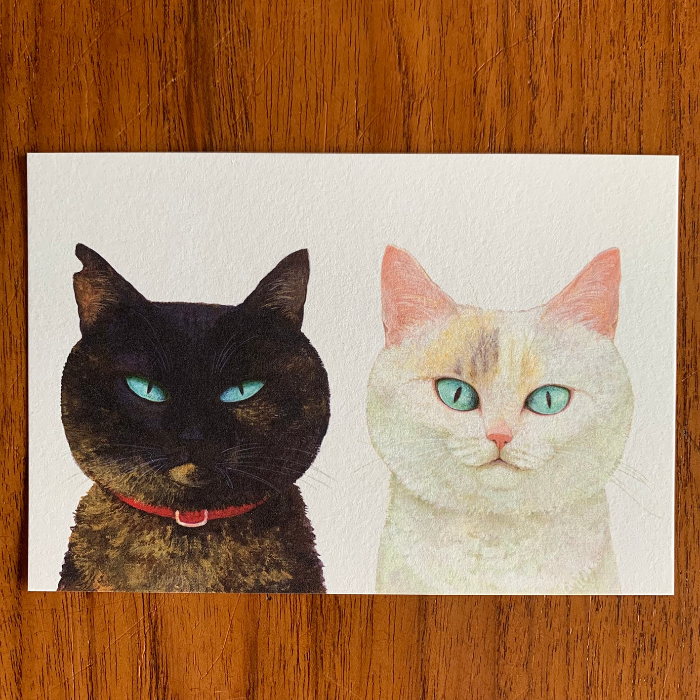 新品 FIKA レリーフ マグ CAT ねこ ネコ 猫 【公式通販】