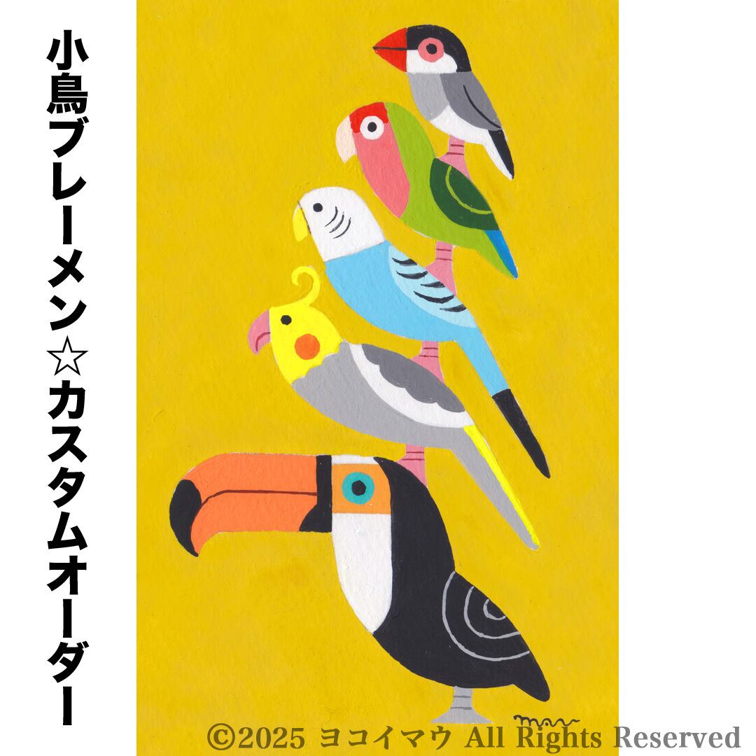 原画「小鳥ブレーメン ホワイトフェイス」オオハシ/インコ/イラスト