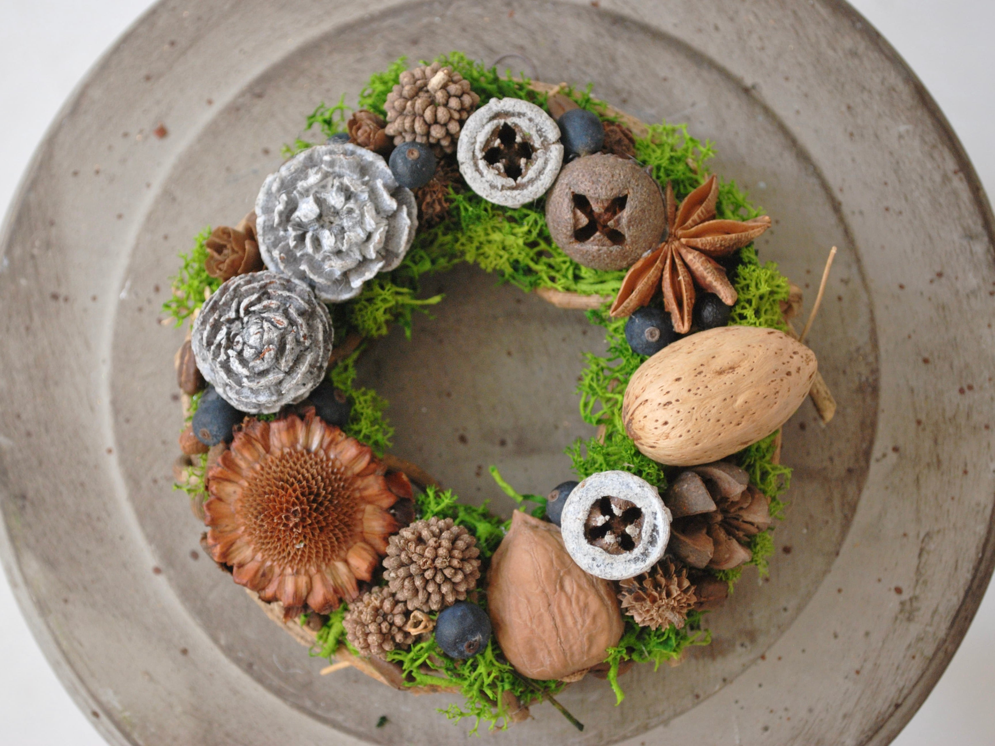 Donut wreath 木の実とモスグリーン/ドライミニリース | H:DAYFLOWERS 