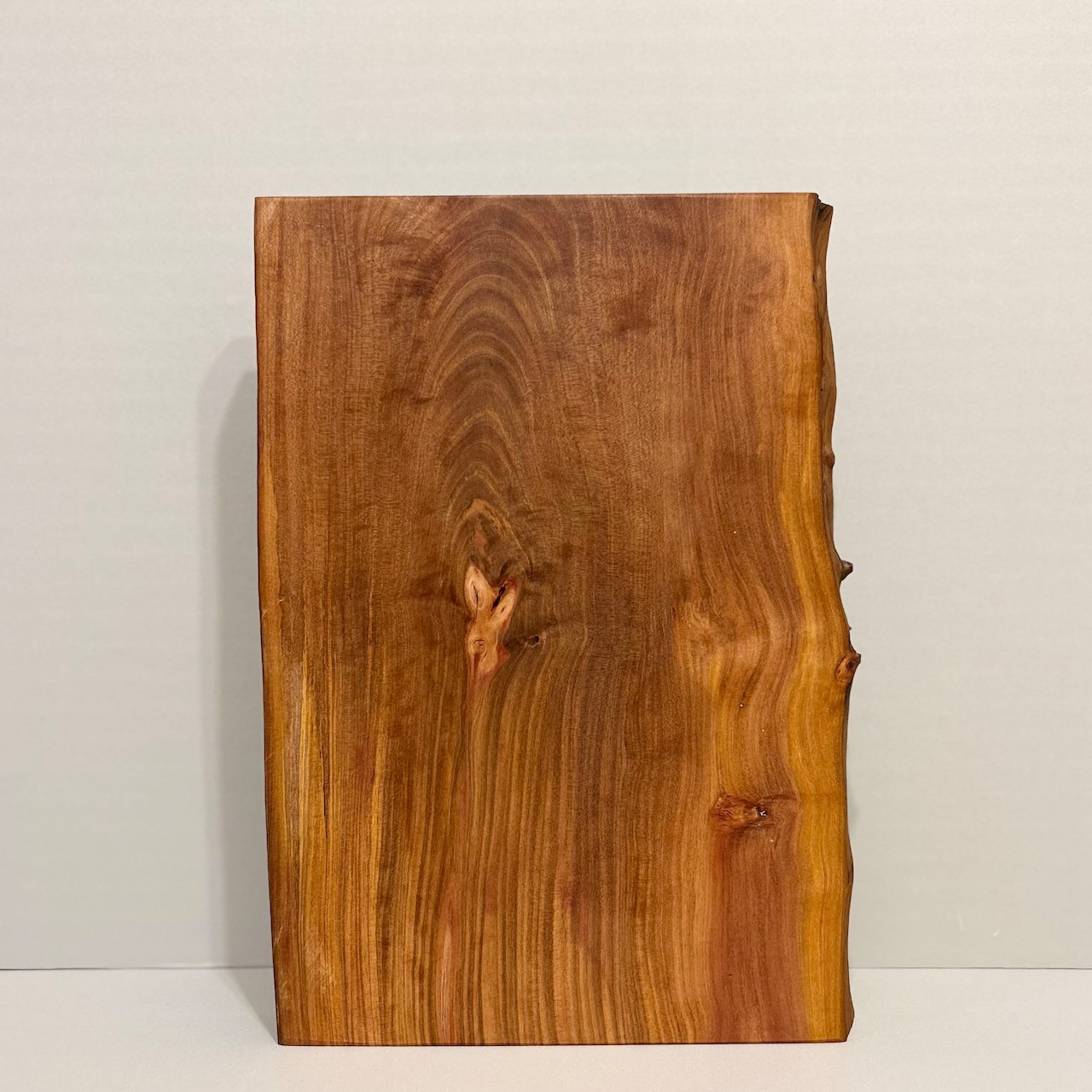 木の結婚証明書|ヤマモモ|No.687