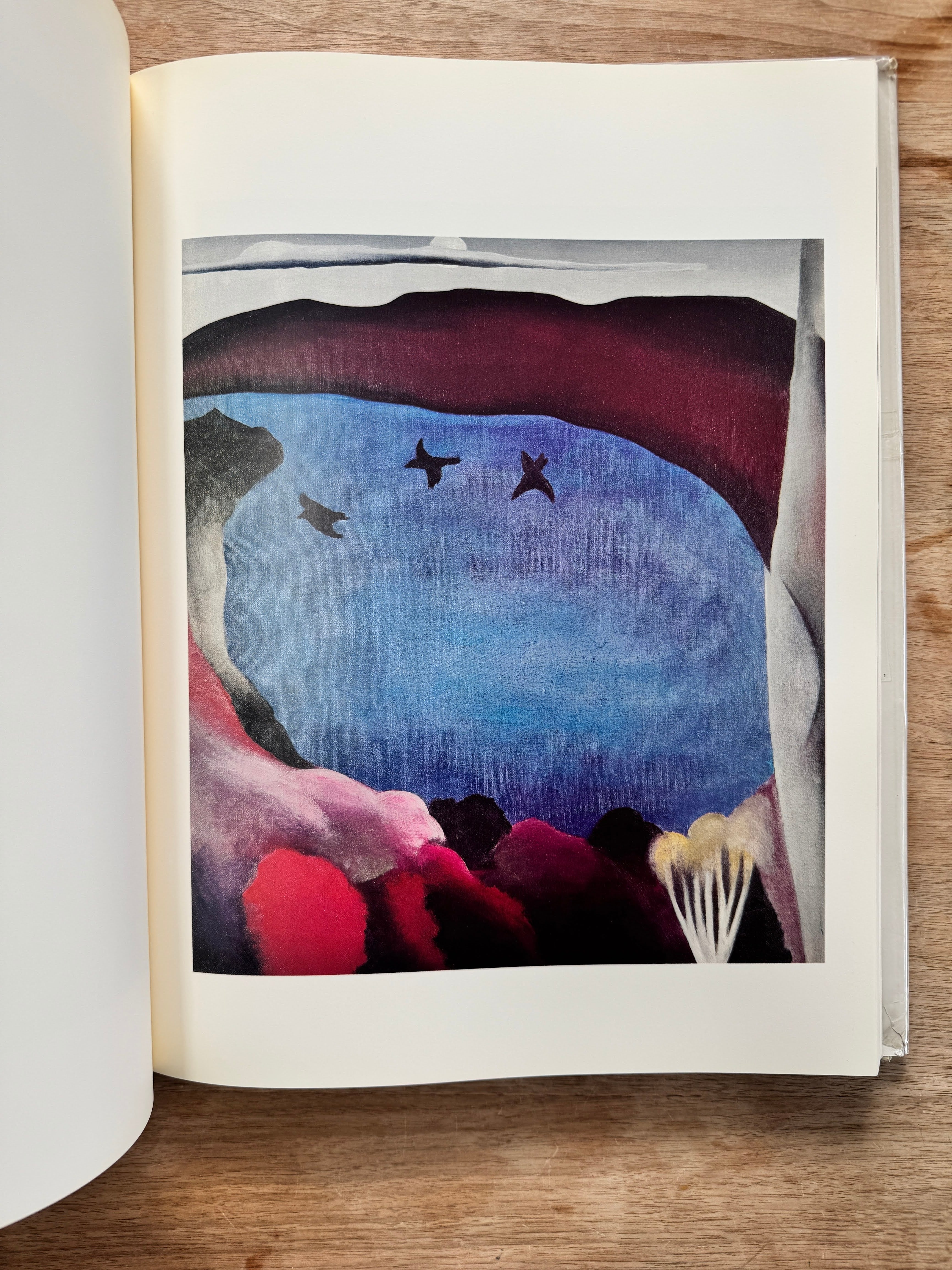 Georgia O'Keeffe （The Viking Press） | NF ARTBOOKS & OBJECTS