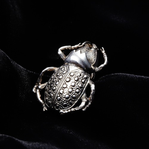 A symbol of good luck Scarab Pin badge