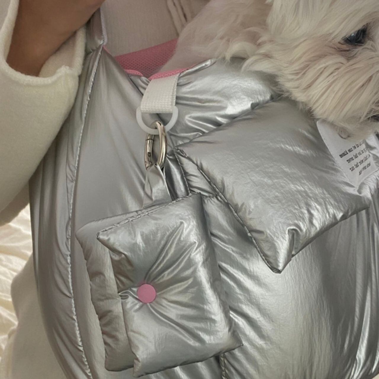 BONDIR新作ドッグカラー イエロー・グレー 16〜22cm BONDIR新作ドッグカラー イエロー・グレー 16〜22cm イエロー｜カラー