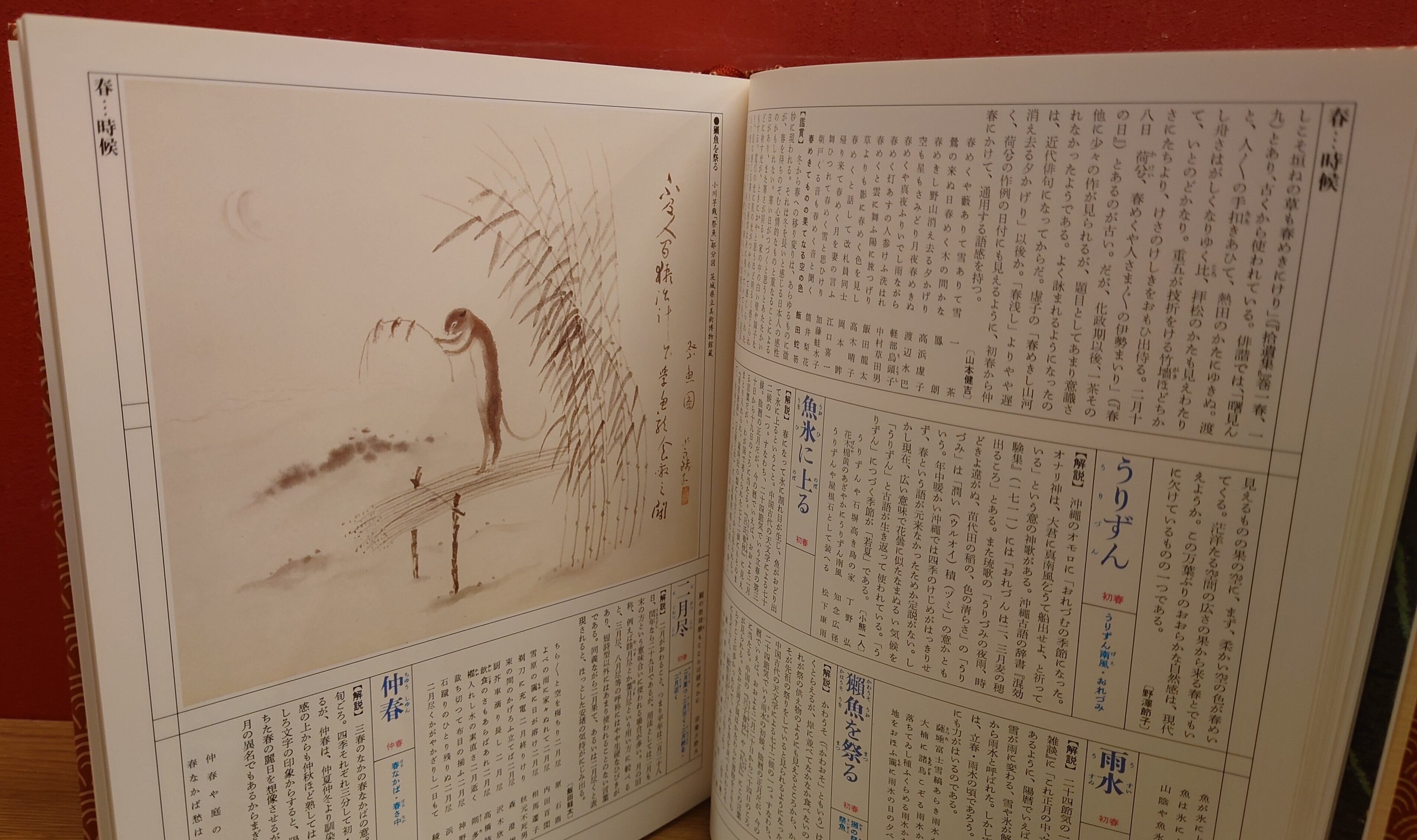 カラー図説 日本大歳時記 春・夏・秋・冬・新年 全5巻セット カラー図説 日本大歳時記 春・夏・秋・冬・新年 全5巻セット