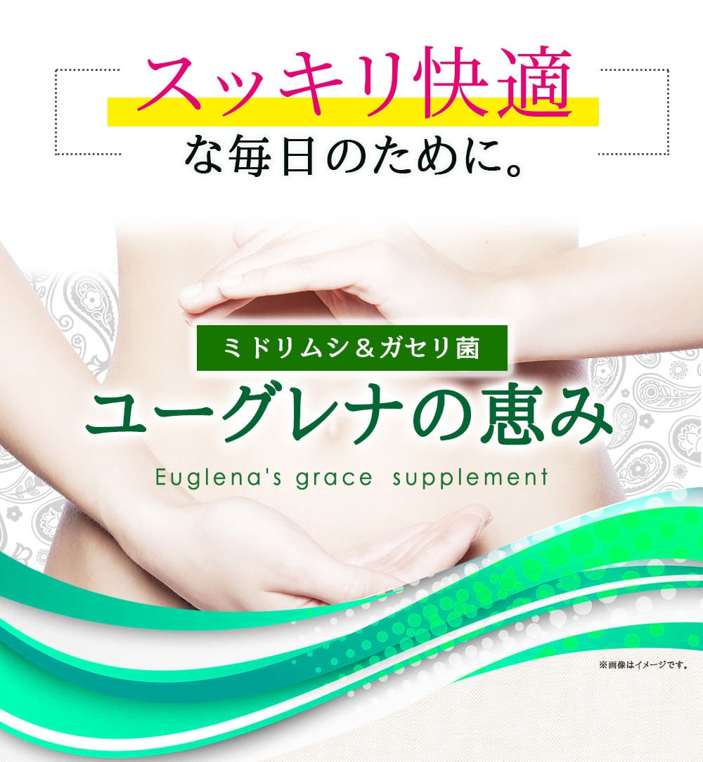 ☆360粒☆ ユーグレナのちから 120粒×3袋 ② ☆360粒☆ ユーグレナのちから 120粒×3袋 ②