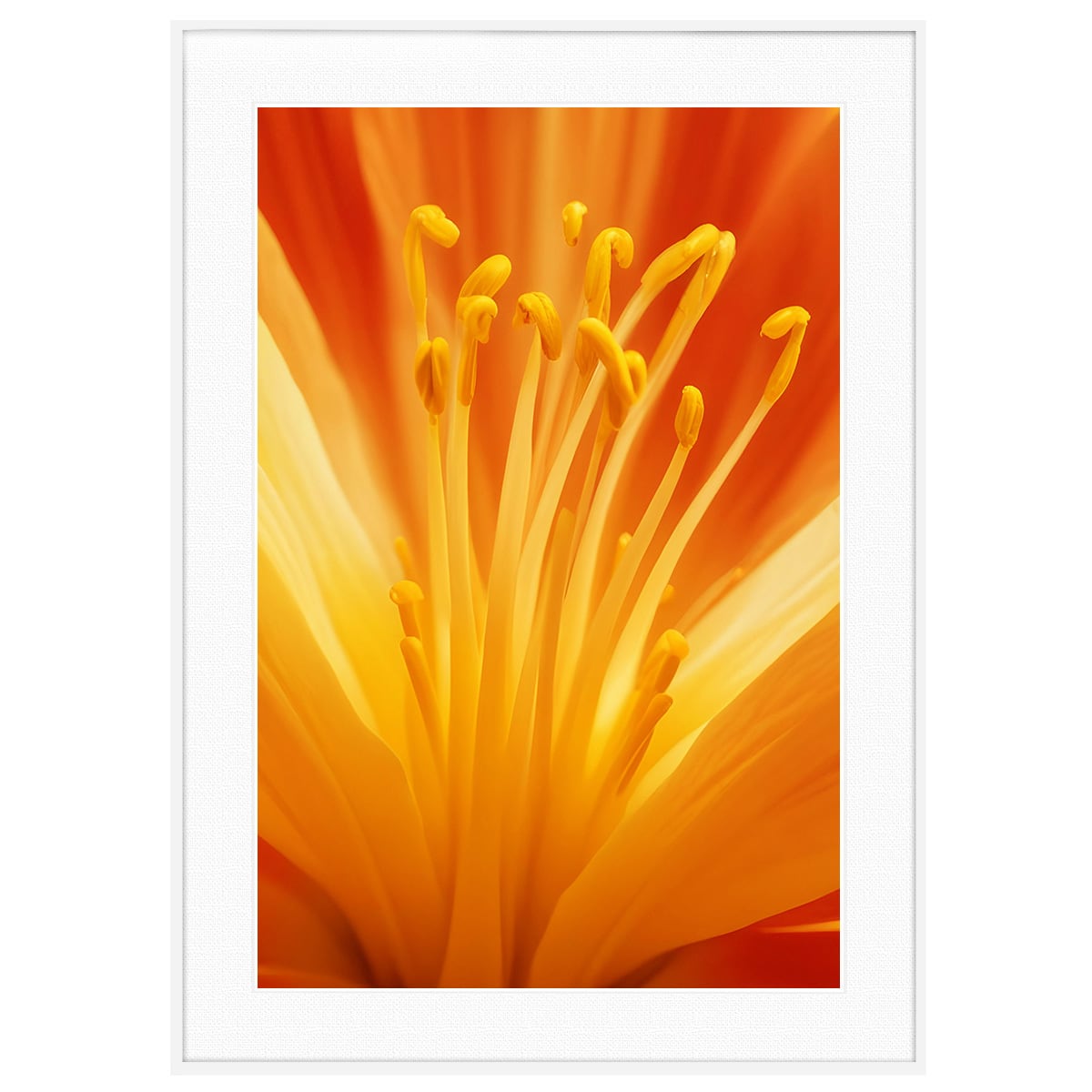 カラフルな写真 オレンジの花インテリアアートポスター額装 AS4238