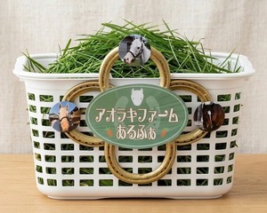 青草プレゼント【乗馬】あるふぁ馬宛
