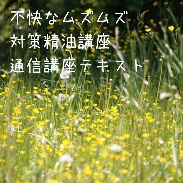 (クレジット決済)アロマ研究会/不快なムズムズ対策精油講座テキスト