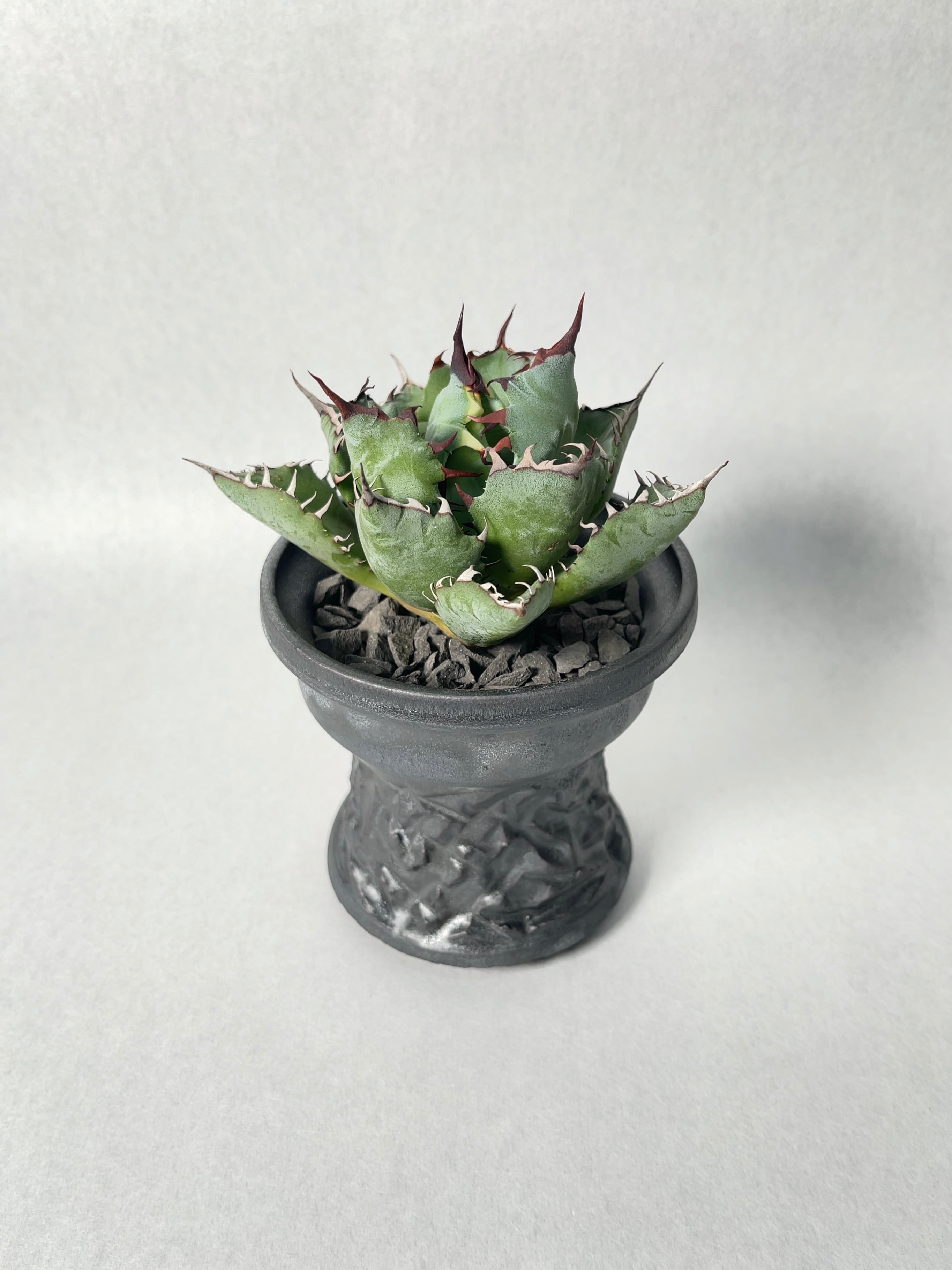 c4490f31071fc856c8061b630bcfe8