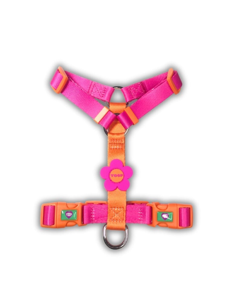 即納【TOOF】Flower Logo H Harness (ORANGE/PINK)
