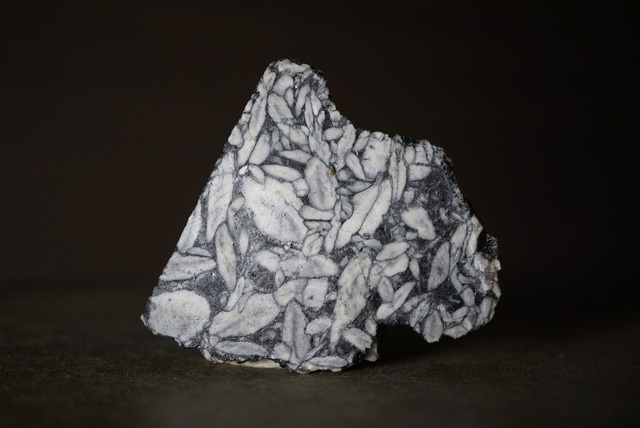 ピノライト Pinolite 1724