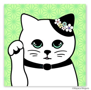 ラッキーキャットリトルハット若葉 Lucky Cat Little Hat Wakaba