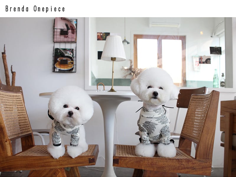 ブレンダワンピース S ~ XL 2color / 犬服 新作 ドッグウェア ドレス 小型犬 中型犬 ペット用品 ペット洋服 onepiece3