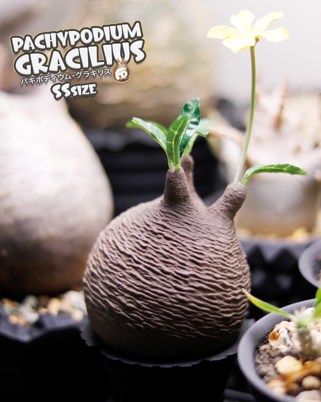 ALL ITEM | Adv-Factory