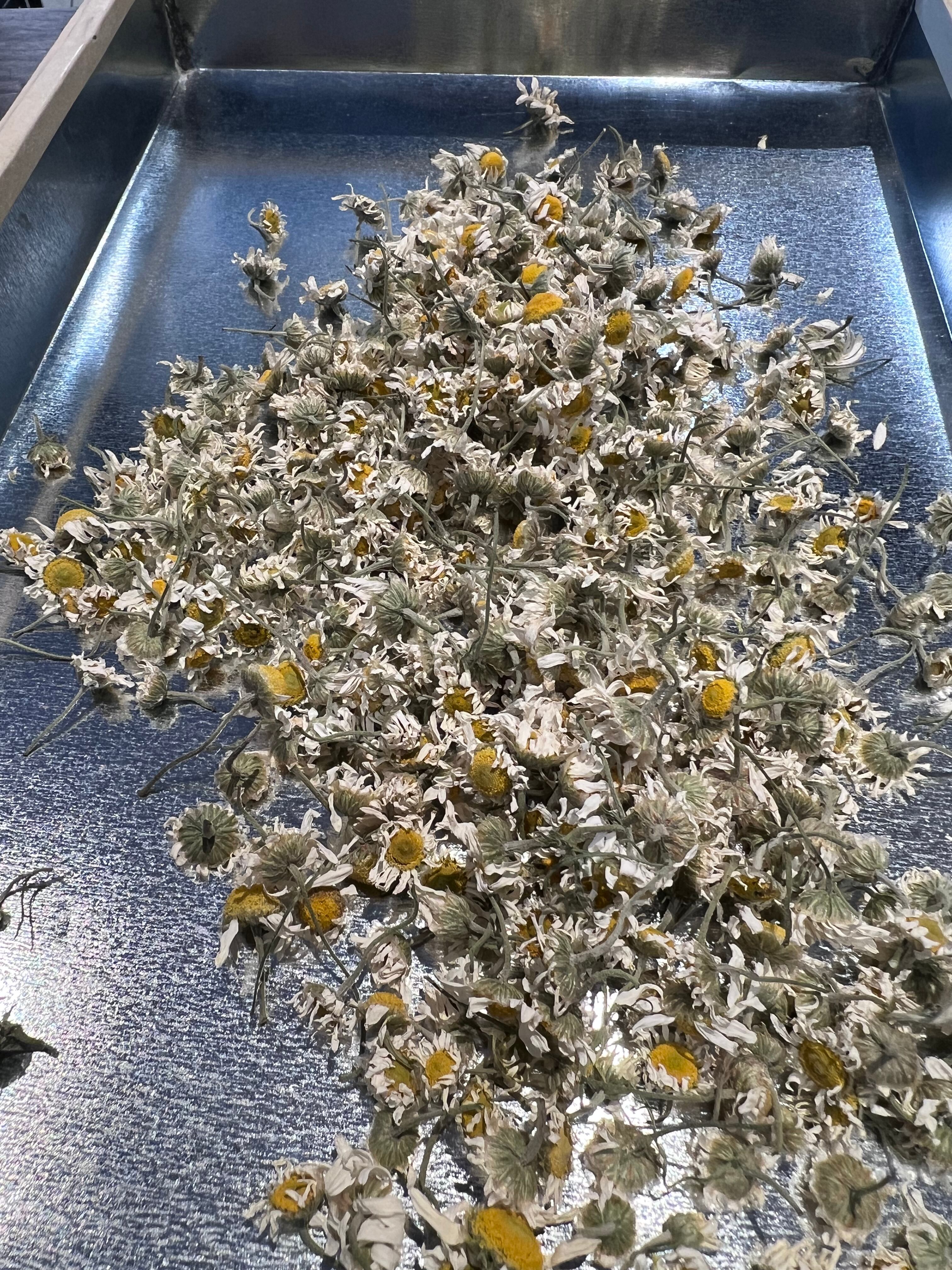 煎茶 &カモミールブレンド 30g入り | 白玄堂