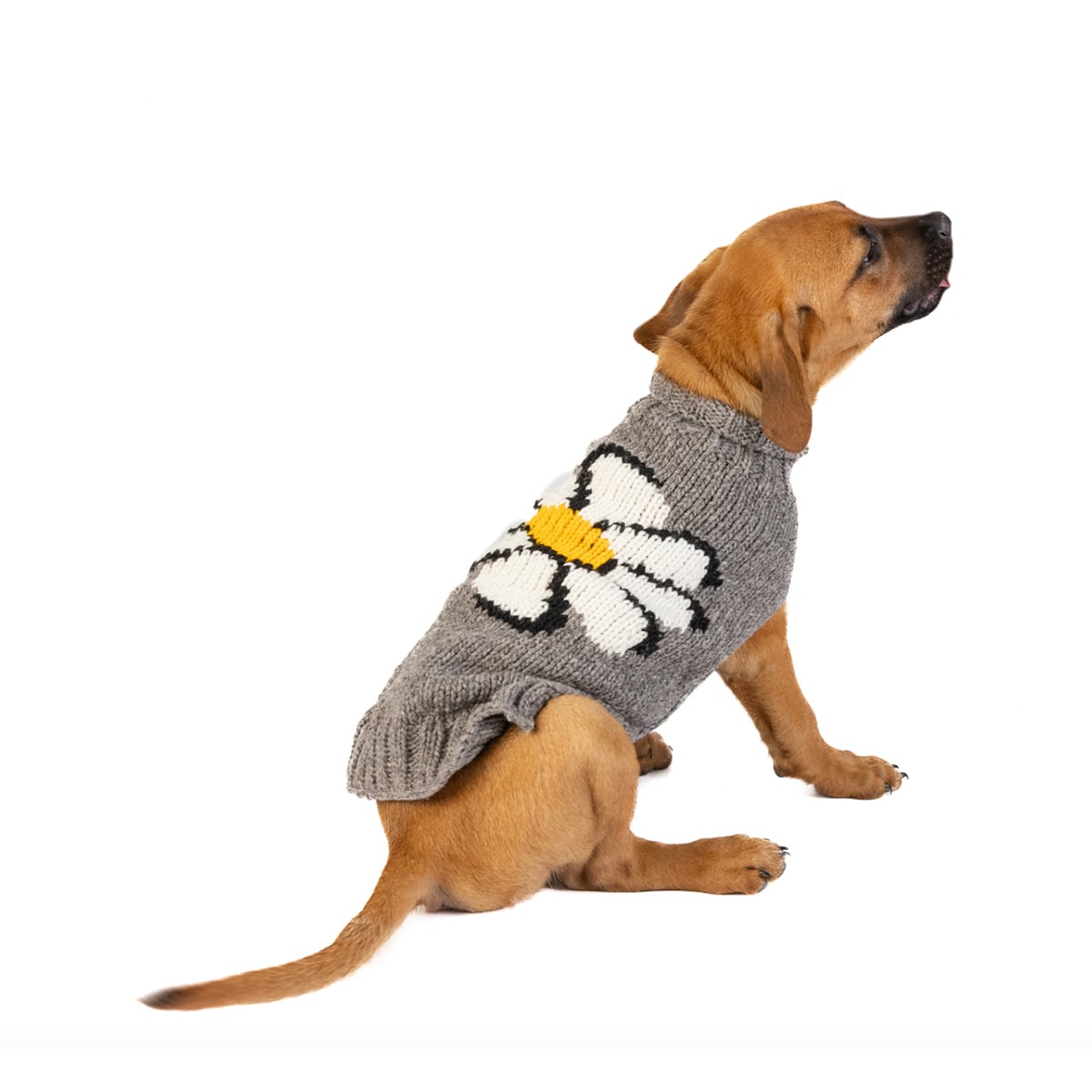 XSサイズ Chilly Dog Bloom Dog Sweater チリードッグ ブルーム ドッグ