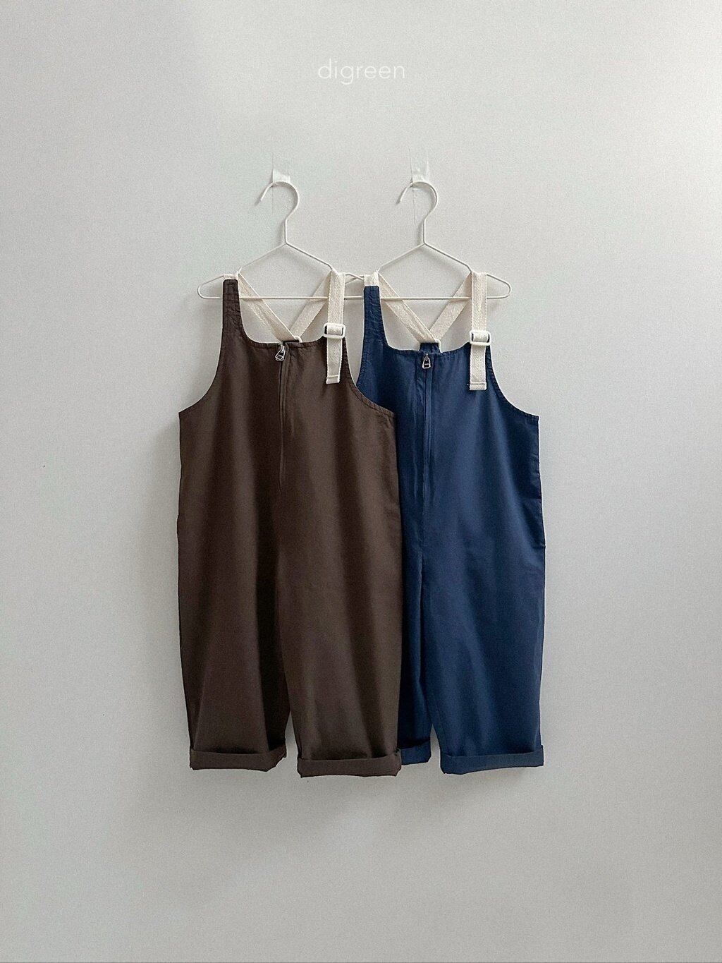 〘予約〙digreen / nova overalls