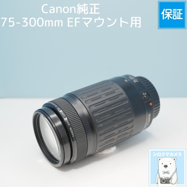 Canon純正 75-300mm EFマウント用 望遠レンズ シロクマカメラ a7488