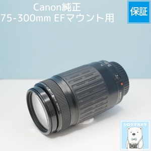 Canon純正 75-300mm EFマウント用 望遠レンズ シロクマカメラ a7488