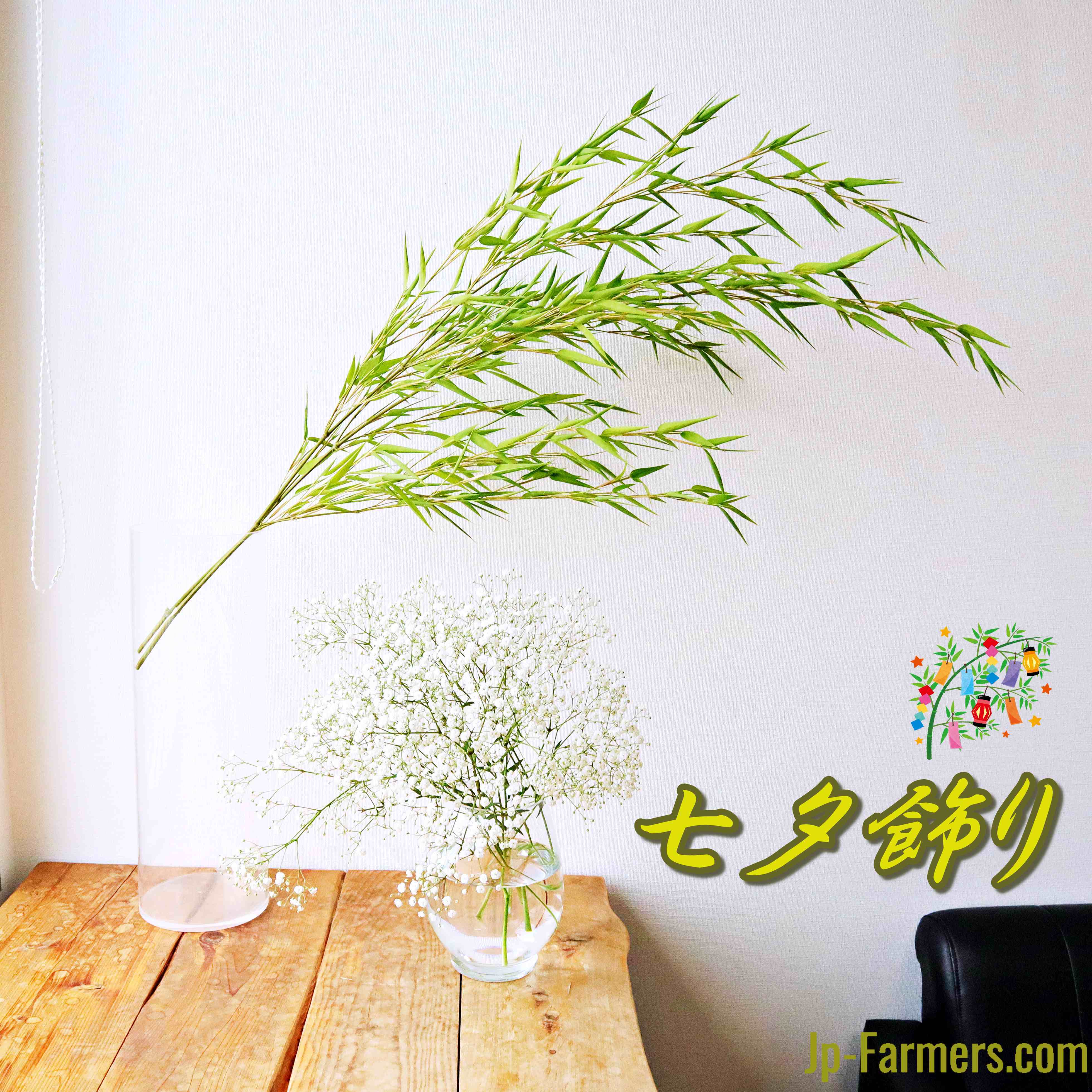 七夕物語 彡 願いを短冊に込めフレッシュな笹飾り 彦星の名の天の川セット Jp Farmers Com