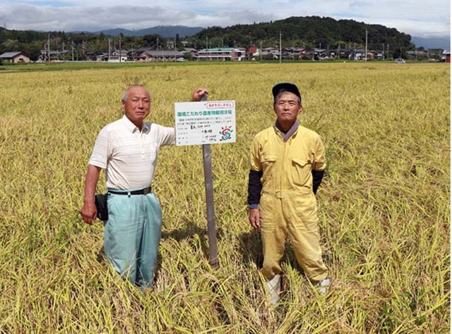 令和7年度　滋賀県産 EM美味米　精米10kg 画像