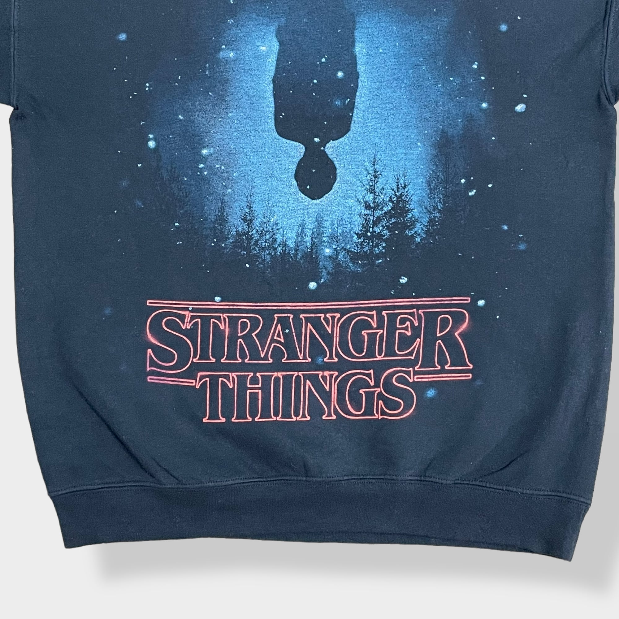 STRANGER THINGS】ストレンジャーシングス Netflix オフィシャル ...