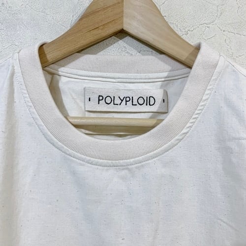 POLYPLOID ポリプロイド 19AW クルーネックプルオーバー TYPE A