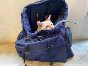 ペットキャリーリュック ・ブルー（BACK PACK PET CARRIER）