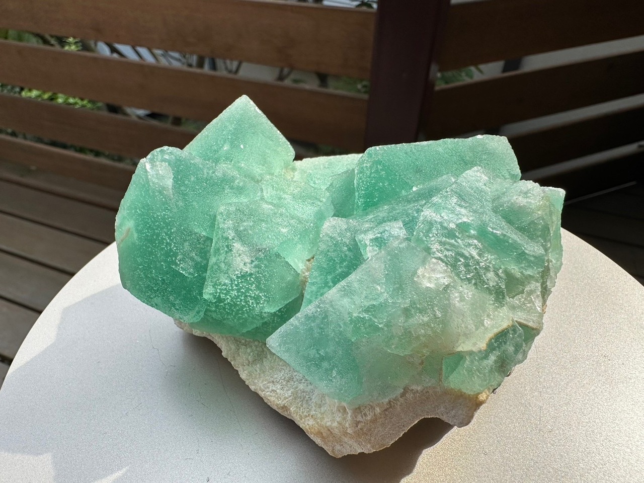 新しいワクワク