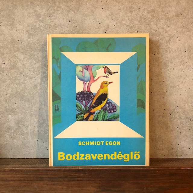 BODZAVENDEGLO