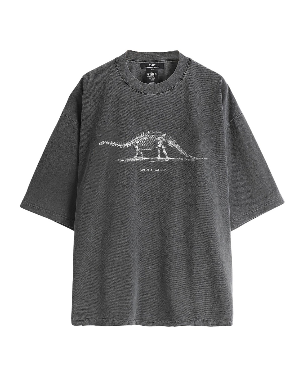 BRONTOSAURUS