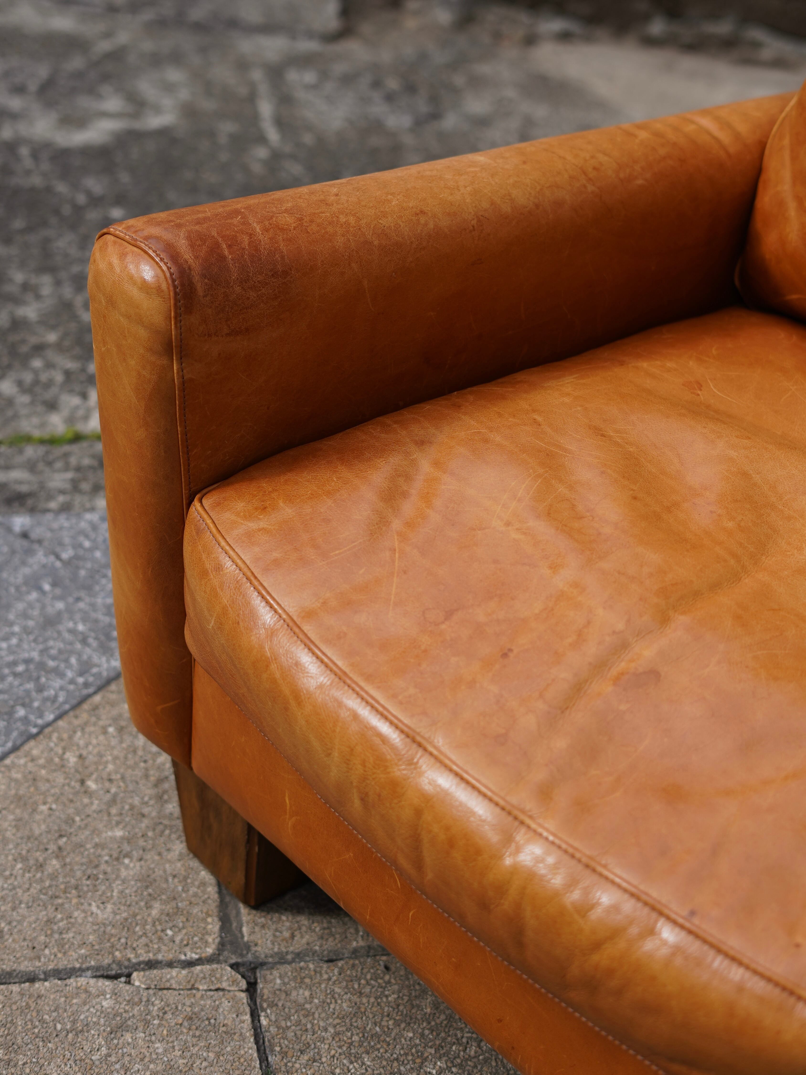 ACME Furniture / アクメファニチャー FRESNO SOFA 1P | トリノス