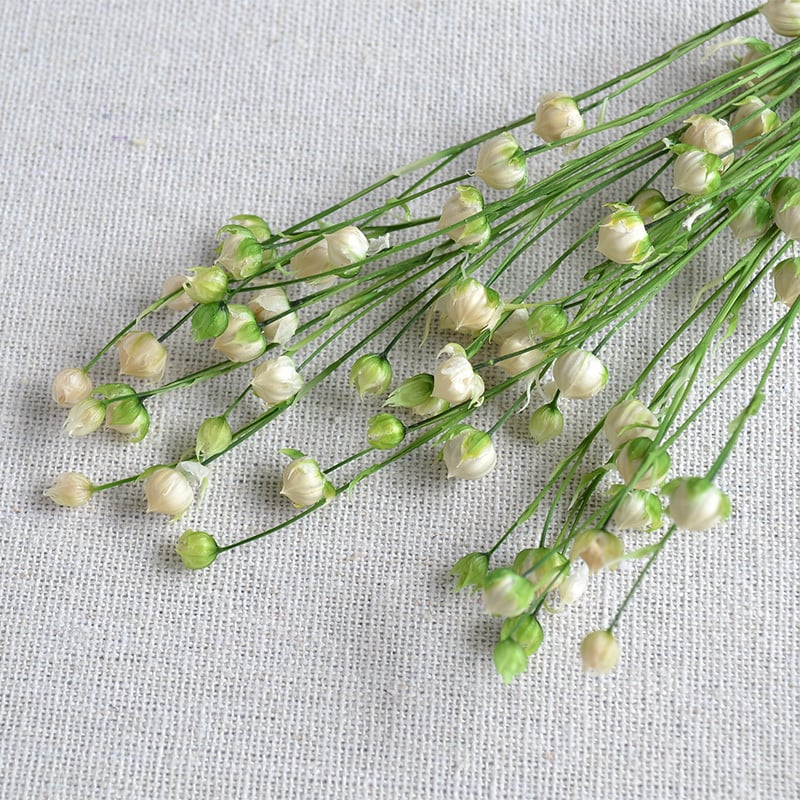 リンフラワー ホワイト グリーン プリザーブド 自然素材こわけ専門店 あじさいや