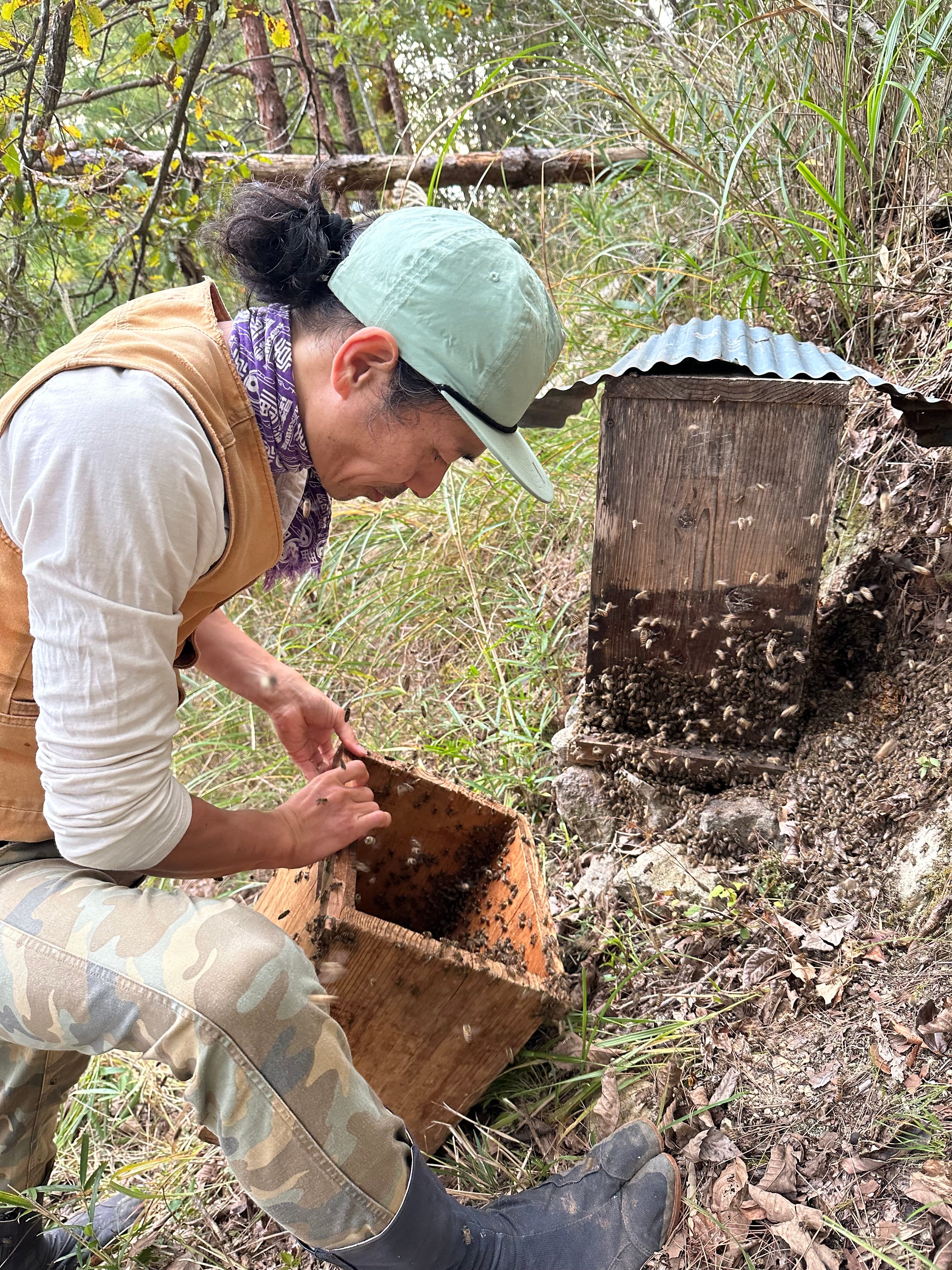 2025 黒蓋はちみつ140g | 福8堂