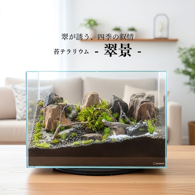 翠が誘う、四季の叙情 苔テラリウム 【 翠景 】 部屋で楽しむ四季の庭 No.100 1点もの