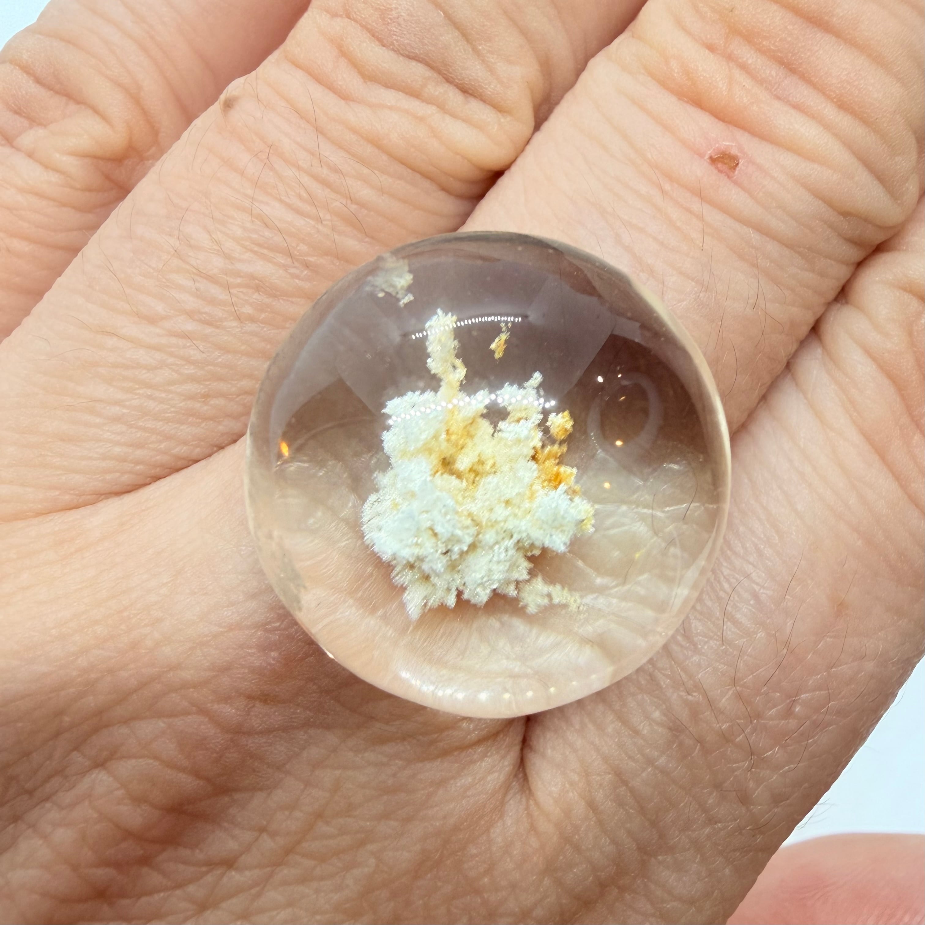 珊瑚礁を閉じ込めたようなホワイトガーデンクオーツ