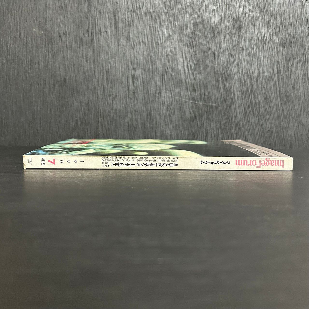 ドミニク・ノゲーズ『レーニン・ダダ』ダゲレオ出版　１９９０年 月刊イメージフォーラム 1990年No.123 自由をめざす東欧・ソ連・中国の