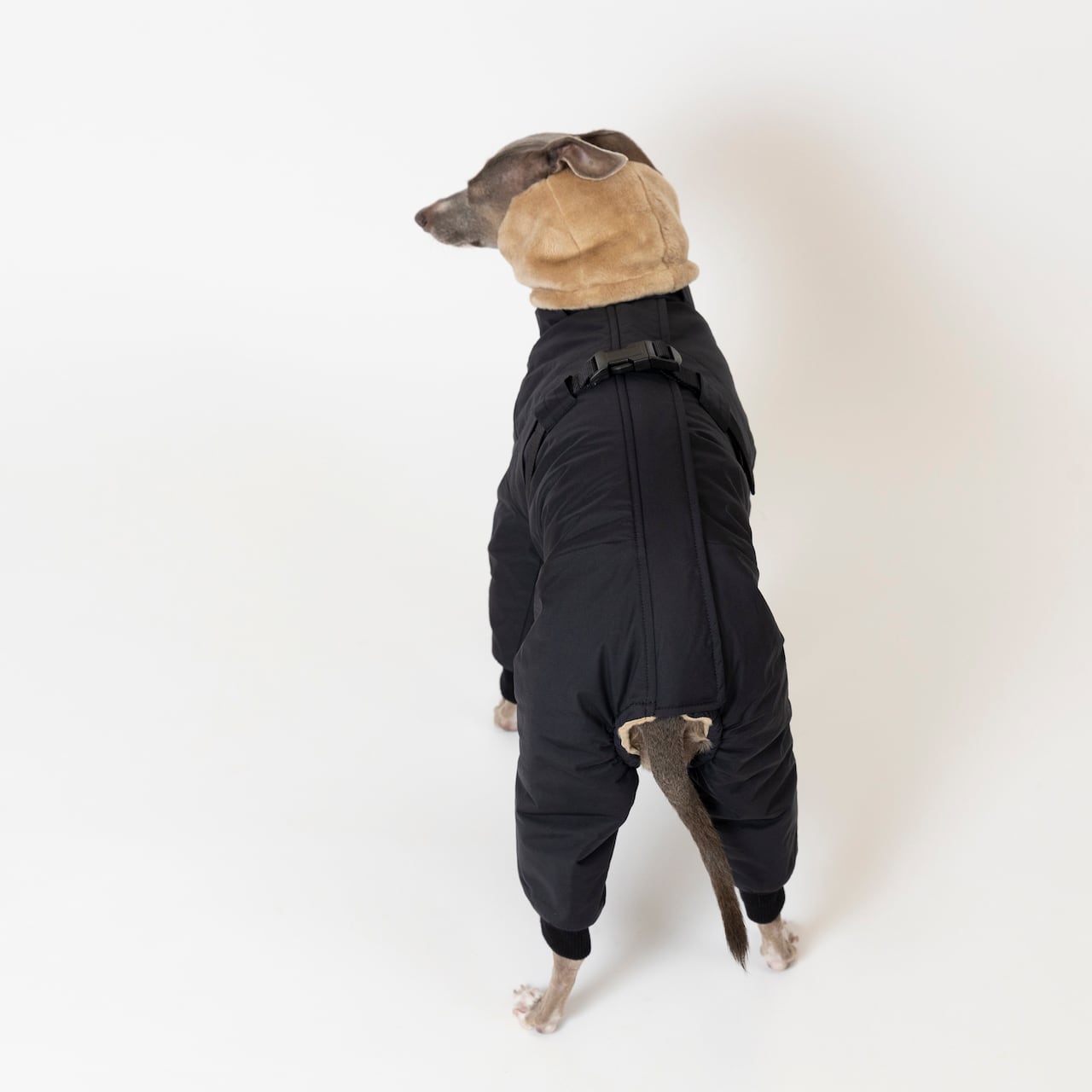 ボンバーヒートジャケット2024 black / イタグレ服 | イタグレ服