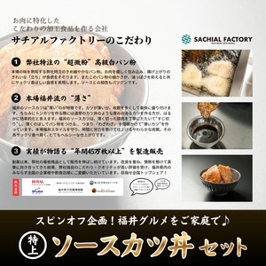 特上 ソースカツ丼セット