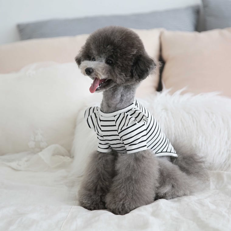 willy stripe t-shirt S ~ XL 2color / 犬服 フリル ボーダー Tシャツ ブラウス ドッグウェア シンプル トップス お出かけ ストライプ 長袖
