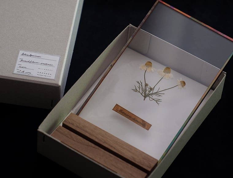 Glass specimen ~季節のガラス標本 ~ | はいいろオオカミ＋花屋西別府商店