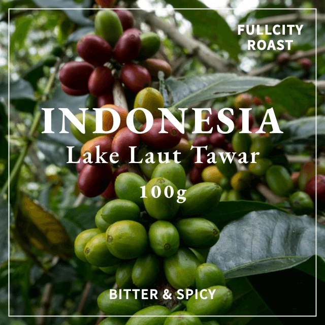 INDONESIA｜SUMATRA TAWAR MANDHELING｜深煎り｜コーヒー豆