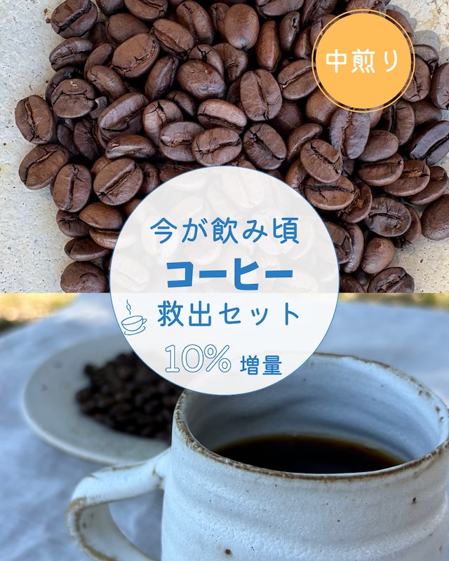 中煎り　| 今が飲み頃セット  400ｇ+ 増量10％