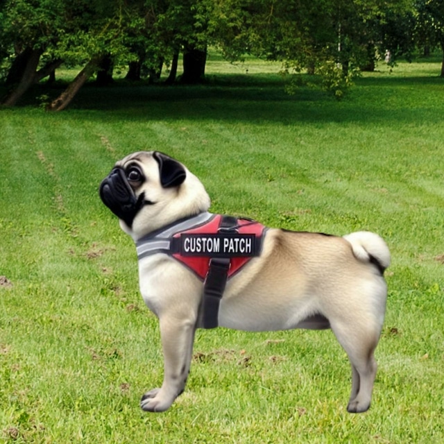 Harness 　-custom name- 　　t-dogw-28